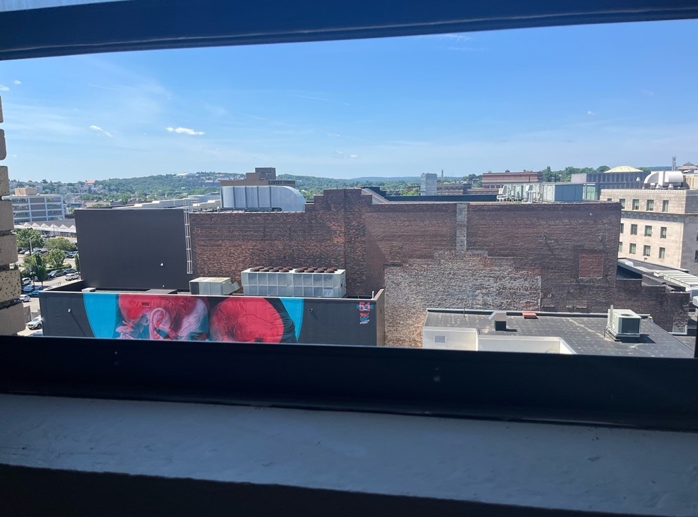 17 Federal St, Worcester MA  01608-1920 exterior