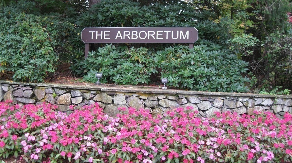 49 Hawthorne Cir, Peabody MA 01960-2760 exterior