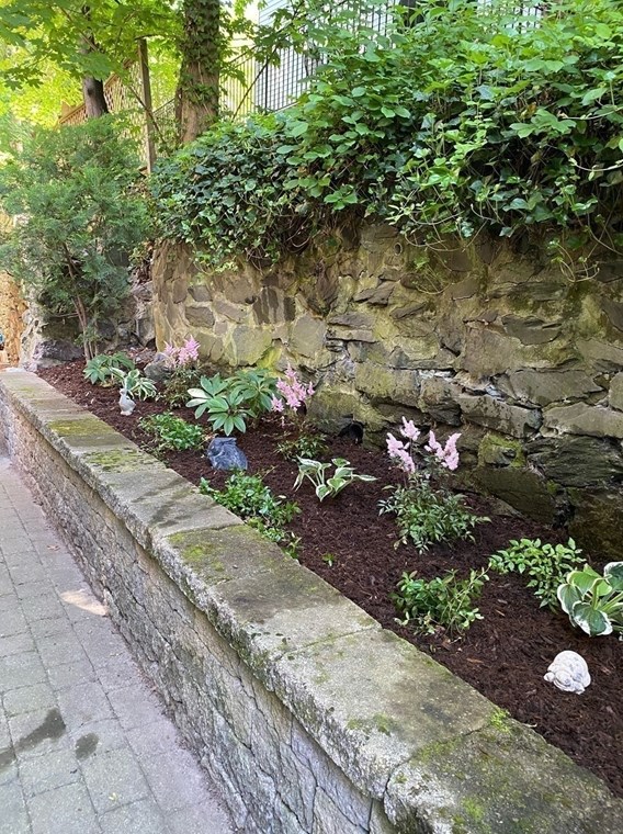 35 White Pl, Brookline MA  02445-7614 exterior