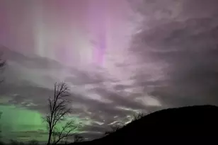 295 Jacksonville Rd, Colrain, MA 01340 - Photo 3