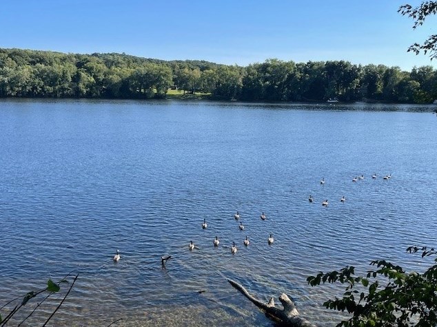 86 Margin St, Haverhill MA 01832-5109 exterior