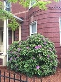 1253 Massachusetts Ave, Arlington MA  02476-4109 exterior