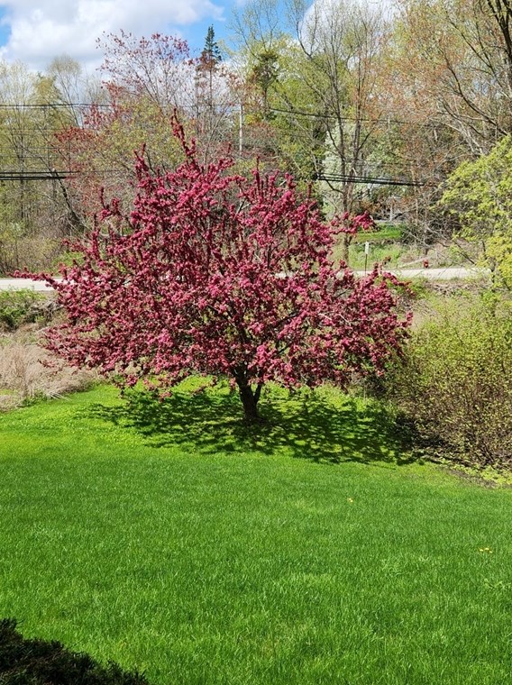 260 Whitney St, Northborough MA 01532-1408 exterior