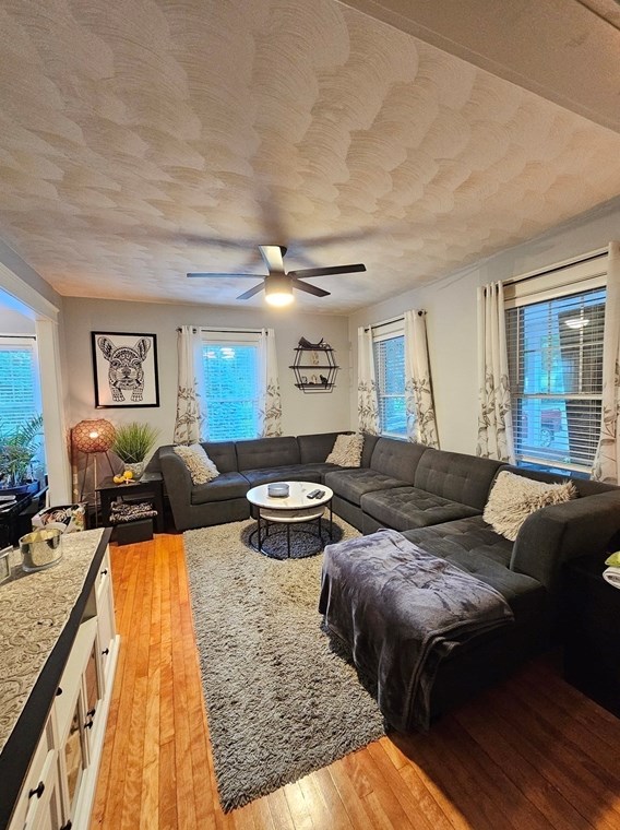 172 Olean St, Worcester MA  01602-4143 exterior