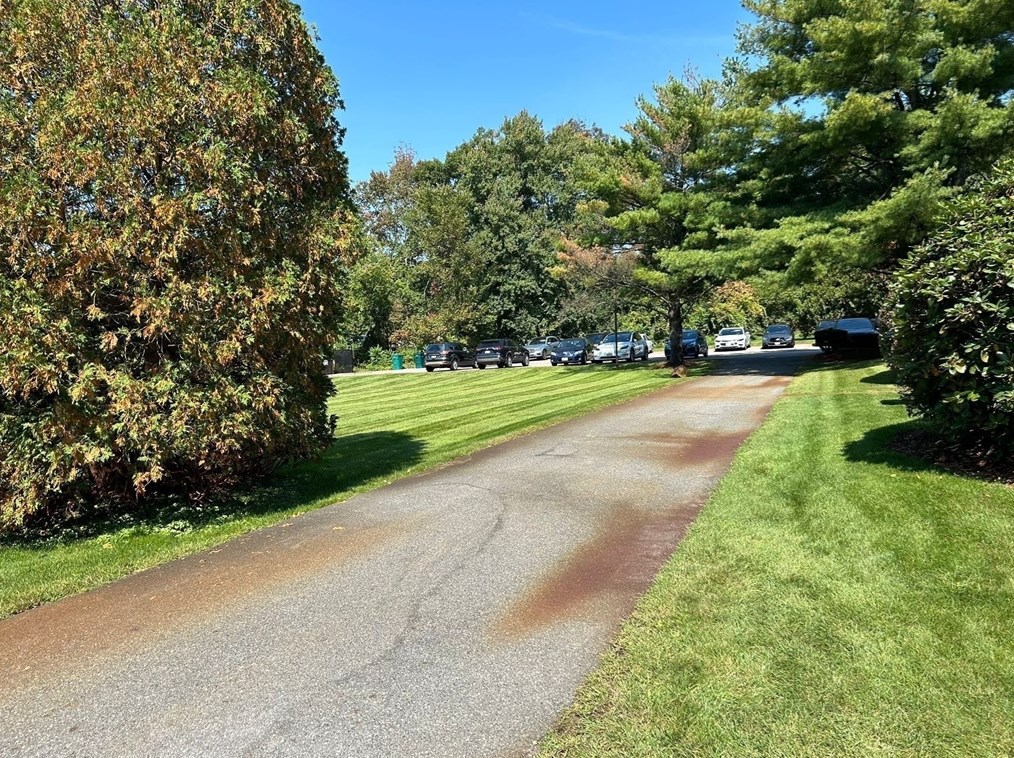 189 Littleton Rd, Chelmsford MA  01824-2653 exterior