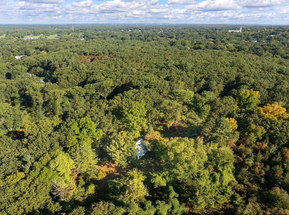 855 Concord Ave, Belmont MA 02478-4041 exterior