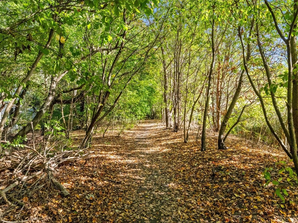 111 Fairmont St, Arlington MA 02474-8718 exterior