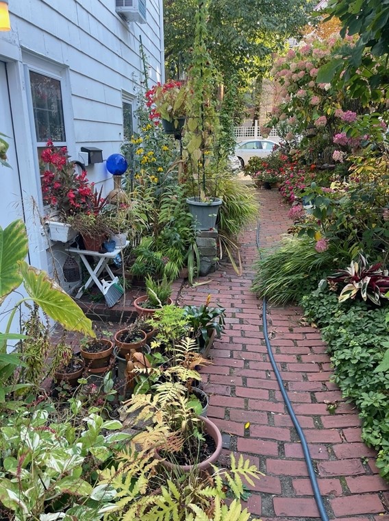 81 Wendell St, Cambridge MA  02138-1963 exterior