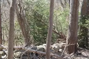 425 A Wareham St, Middleborough, MA 02346 - Photo 3