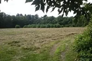 425 A Wareham St, Middleborough, MA 02346 - Photo 7