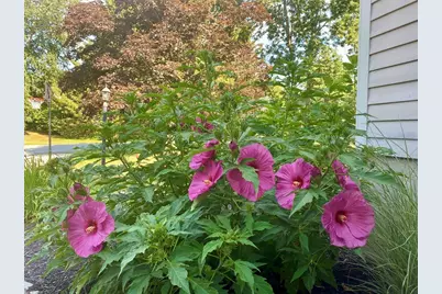 17 Robin Rd, West Newbury, MA 01985 - Photo 37