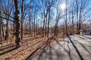 66 Rockland Pl, Newton, MA 02464 - Photo 3