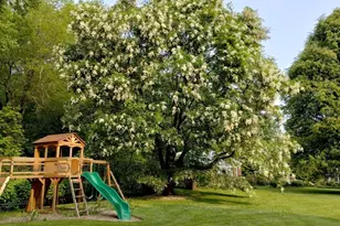 429 Summer St, Westwood, MA 02090 - Photo 29