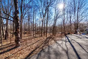 66 Rockland Pl, Newton, MA 02464 - Photo 3