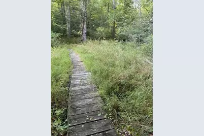 56 Hubbardston Rd, Princeton, MA 01541 - Photo 3