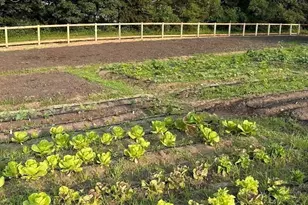 296 Center Hill Rd, Plymouth, MA 02360 - Photo 35