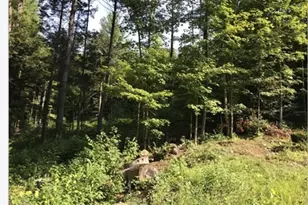 49 Old Chester Rd, Huntington, MA 01050 - Photo 1