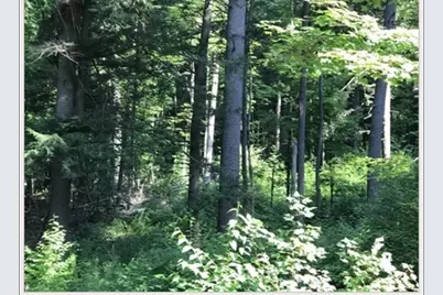 49 Old Chester Rd, Huntington, MA 01050 - Photo 7