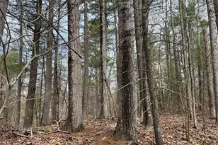 Lot 1 Monson Turnpike Rd, Ware, MA 01082 - Photo 1