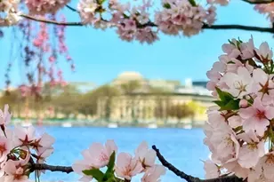 4 Charlesgate E, Boston, MA 02215 - Photo 19