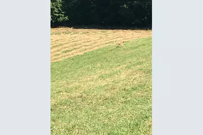 536-R Highland Rd, Tiverton, RI 02878 - Photo 5