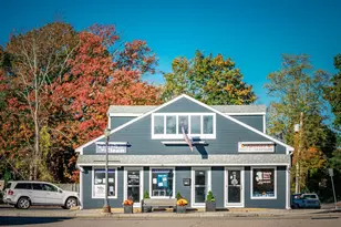 315-317 Chestnut St, Needham, MA 02492 - Photo 1