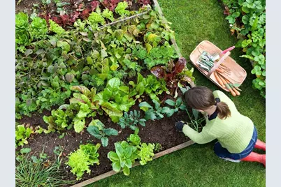 265 Monponsett Street #2203, Halifax, MA 02338 - Photo 17