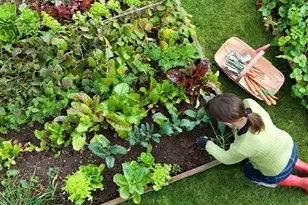 265 Monponsett St, Halifax, MA 02338 - Photo 17