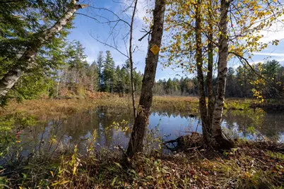 0 Sears Road, Ashfield, MA 01330 - Photo 17