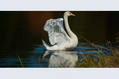 20 Towering Trees Road, Plymouth, MA 02360 - Photo 15