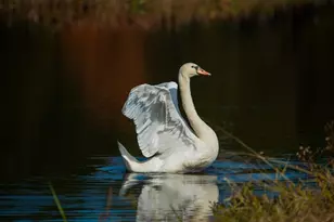 20 Towering Trees Rd, Plymouth, MA 02360 - Photo 15