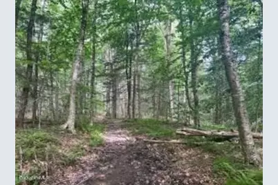 0 Johnnycake Hill Rd, Middlefield, MA 01243 - Photo 11