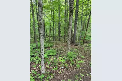 0 South Royalston Rd, Royalston, MA 01368 - Photo 1