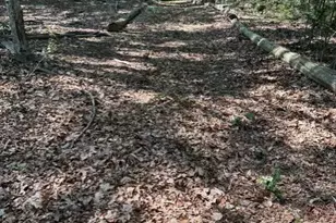 26 Mordecai Lincoln Rd, Scituate, MA 02066 - Photo 9