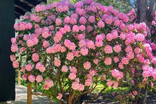 44 Ye Olde County Rd, Gloucester, MA 01930 - Photo 5