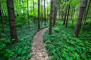 31 W Oxbow Rd, Charlemont, MA 01339 - Photo 33