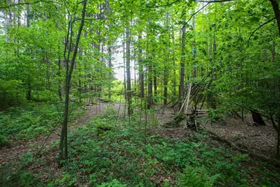 31 W Oxbow Rd, Charlemont, MA 01339 - Photo 31