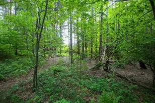 31 W Oxbow Rd, Charlemont, MA 01339 - Photo 31