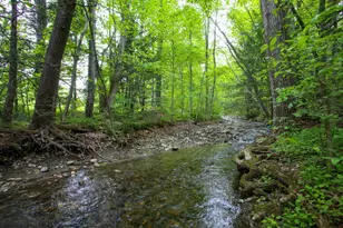 31 W Oxbow Rd, Charlemont, MA 01339 - Photo 5