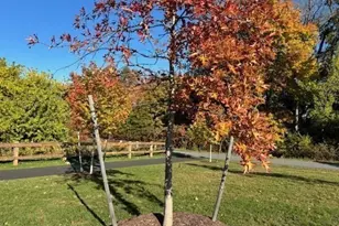 4 Stratton Dr, Woburn, MA 01801 - Photo 5