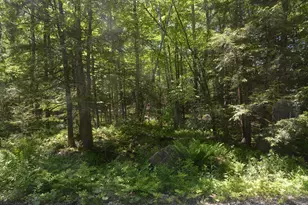 Lot 155 Chippewa Dr, Becket, MA 01223 - Photo 1
