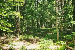 134 Mountain Rd, Princeton, MA 01541 - Photo 27