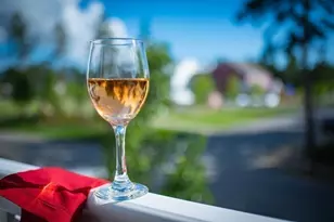 17 Trumpet Vine, Plymouth, MA 02360 - Photo 15