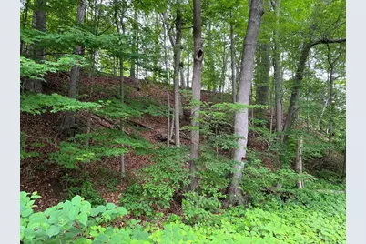 Lot 114 Bark Haul Rd, Longmeadow, MA 01106 - Photo 3