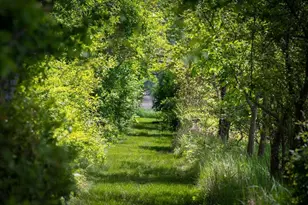 965-973 Hale St, Beverly, MA 01915 - Photo 29