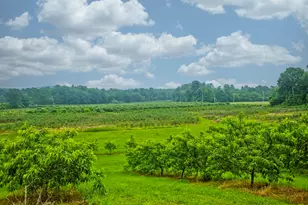 336 Russellville Rd, Westfield, MA 01085 - Photo 17