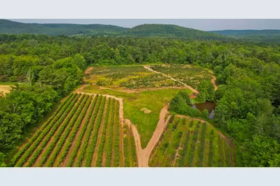 336 Russellville Road, Westfield, MA 01085 - Photo 5