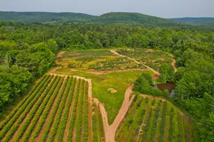 336 Russellville Rd, Westfield, MA 01085 - Photo 5