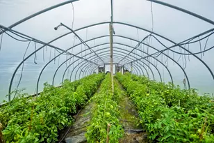 336 Russellville Rd, Westfield, MA 01085 - Photo 13