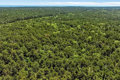 175 Delphi Path, Wellfleet, MA 02667 - Photo 13